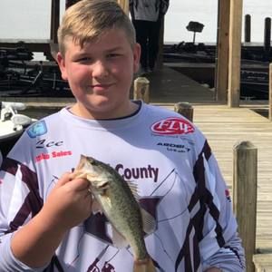 Meet your Posher, Lee